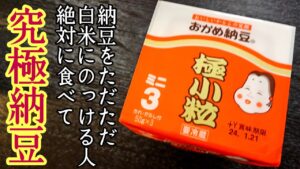 究極の納豆ご飯