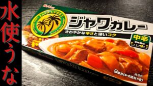 無水玉葱カレー