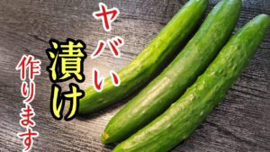 塩にんにくきゅうり漬け